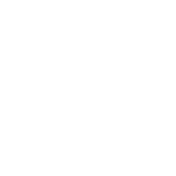 Play Fusion